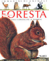 Copertina  Gli animali della foresta